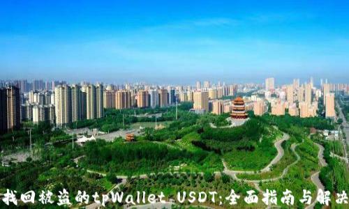 
如何找回被盗的tpWallet USDT：全面指南与解决方案