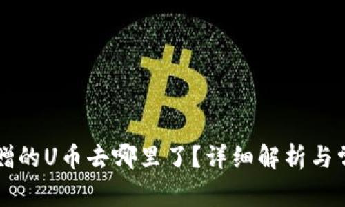 tpWallet转赠的U币去哪里了？详细解析与常见问题解答