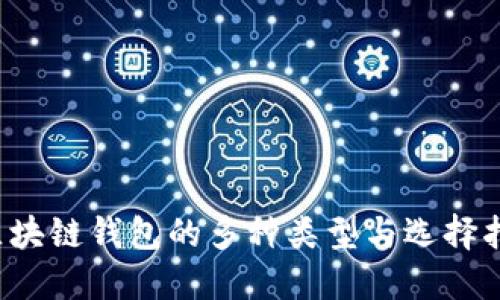  区块链钱包的多种类型与选择指南