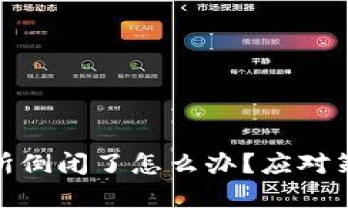 数字货币交易所倒闭了怎么办？应对策略与保障措施