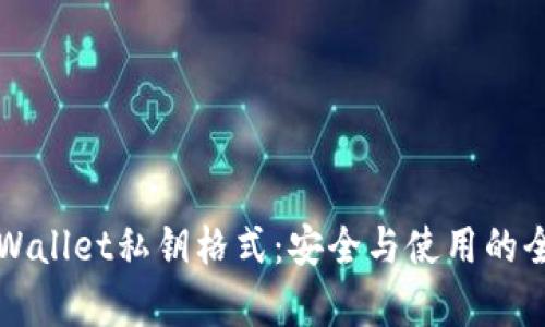 理解tpWallet私钥格式：安全与使用的全面指南