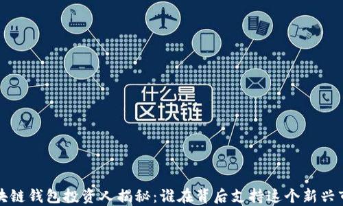 
区块链钱包投资人揭秘：谁在背后支持这个新兴市场