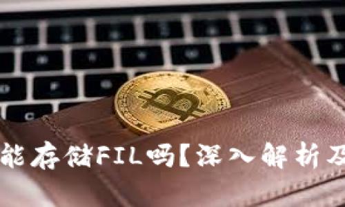 tpWallet能存储FIL吗?深入解析及使用指南