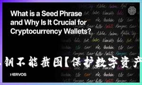 为什么tpWallet私钥不能截图?保护数字资产安全的必要性解析