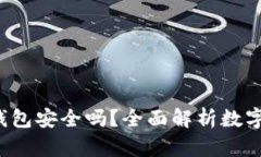 Topay数字钱包安全吗？全面