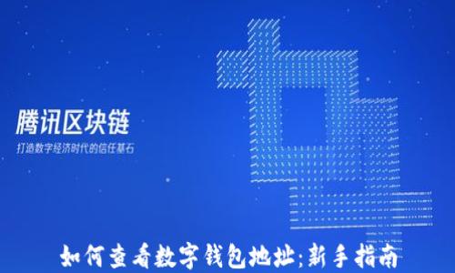 
如何查看数字钱包地址：新手指南