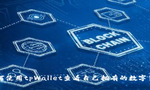 如何使用tpWallet查看自己拥有的数字货币