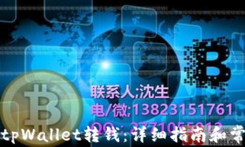 
如何轻松往tpWallet转钱：详细指南和常见问题解答
