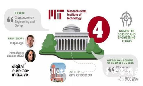 如何查看TPWallet持币地址：新手必备指南