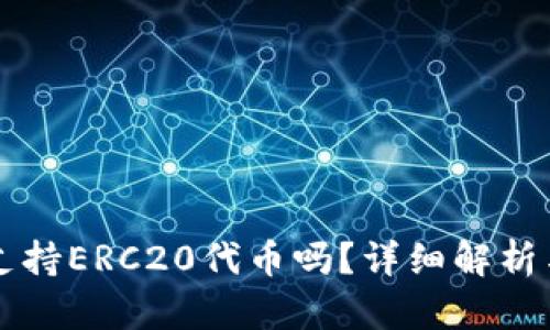 tpWallet支持ERC20代币吗？详细解析与使用指南