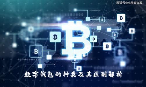 数字钱包的种类及其区别解析