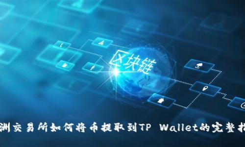 欧洲交易所如何将币提取到TP Wallet的完整指南