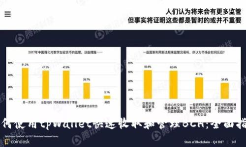 如何使用tpWallet快速收取和管理BCH：全面指南
