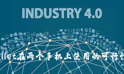 tpWallet在两个手机上使用的可行性分析