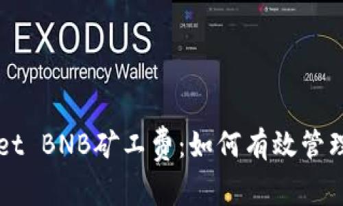 深入解析tpWallet BNB矿工费：如何有效管理与降低交易成本