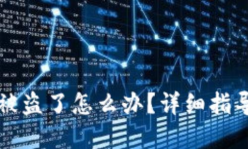 虚拟币钱包被盗了怎么办？详细指导与追回策略