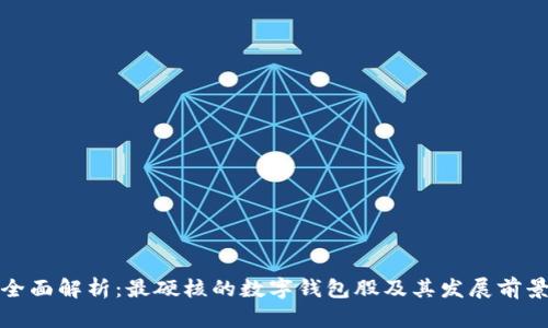 全面解析：最硬核的数字钱包股及其发展前景