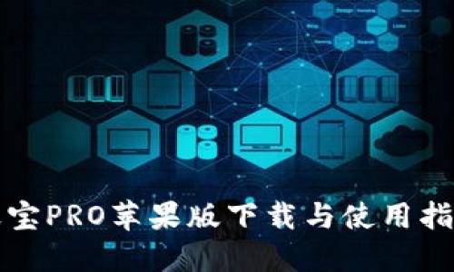 波宝PRO苹果版下载与使用指南