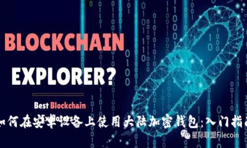 如何在安卓设备上使用大陆加密钱包：入门指南