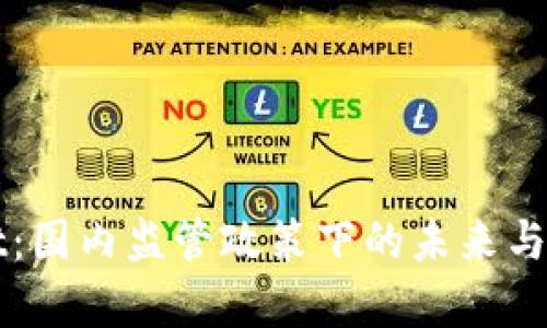 tpWallet：国内监管政策下的未来与风险解析