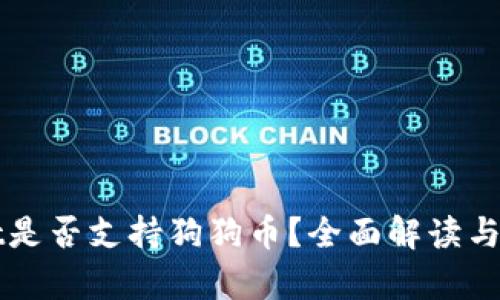 tpWallet是否支持狗狗币？全面解读与使用指南