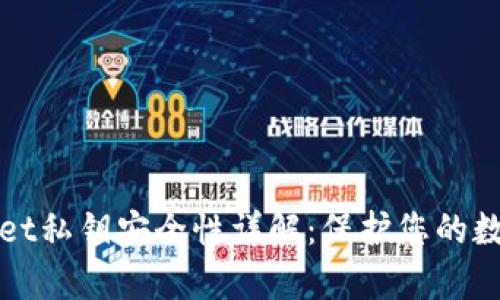 tpWallet私钥安全性详解：保护您的数字资产