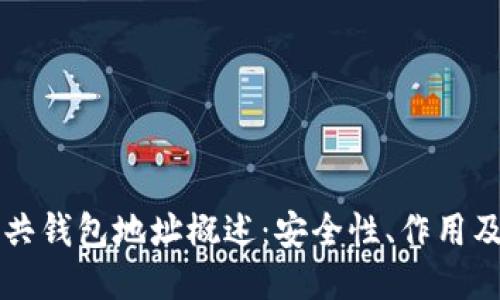 区块链公共钱包地址概述：安全性、作用及使用指南