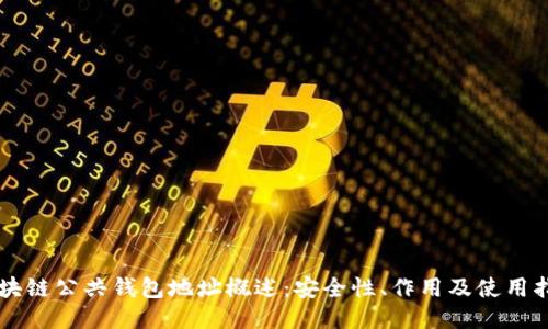 区块链公共钱包地址概述：安全性、作用及使用指南
