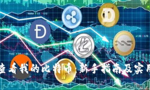 如何查看我的比特币：新手指南及实用技巧