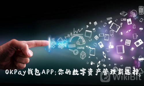 OKPay钱包APP：你的数字资产管理新选择