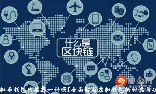 
虚拟币钱包只能存一种吗？全面解析虚拟钱包的种类与功能
