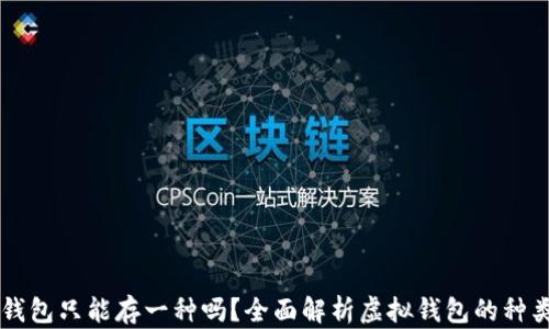 
虚拟币钱包只能存一种吗？全面解析虚拟钱包的种类与功能