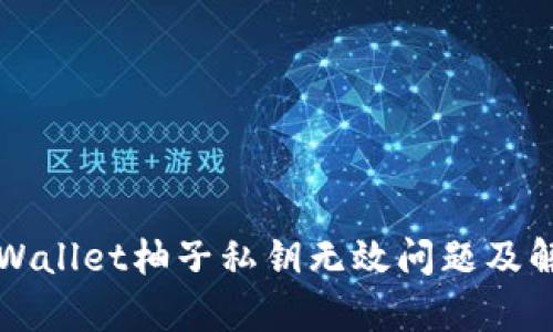 解读tpWallet柚子私钥无效问题及解决方案