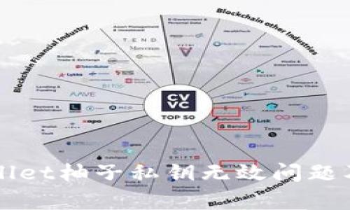 解读tpWallet柚子私钥无效问题及解决方案
