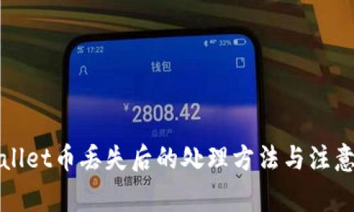 tpWallet币丢失后的处理方法与注意事项