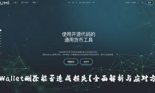 tpWallet删除能否造成损失？全面解析与应对方案