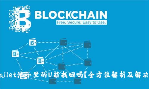 tpWallet池子里的U能找回吗？全方位解析及解决方案