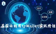 如何在国内利用tpWallet实现