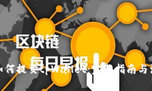 : 新币如何提交tpWallet：完整指南与注意事项