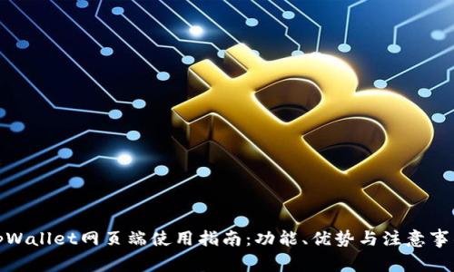 tpWallet网页端使用指南：功能、优势与注意事项
