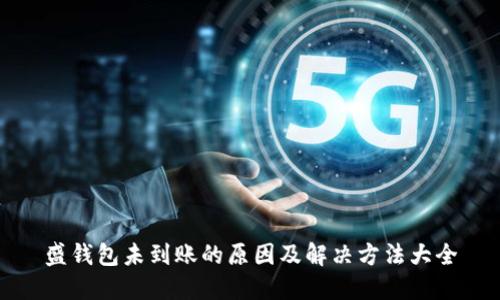 盛钱包未到账的原因及解决方法大全