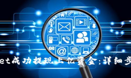如何从tpWallet成功提现上亿资金：详细步骤与注意事项
