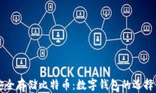 
如何安全存储比特币：数字钱包的选择与使用