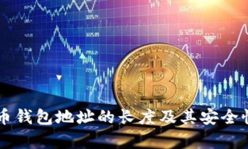 虚拟币钱包地址的长度及其安全性分析