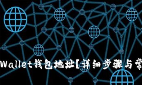 如何查看tpWallet钱包地址？详细步骤与常见问题解析
