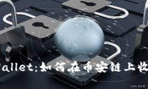 深入了解tpWallet：如何在币安链上收取TRC20代币