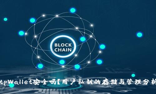 tpWallet安全吗？用户私钥的存储与管理分析