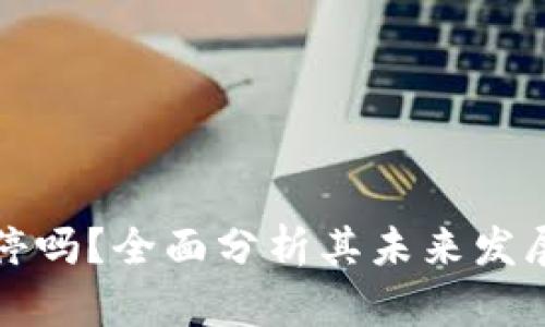 : tpWallet会关停吗？全面分析其未来发展和用户应对策略