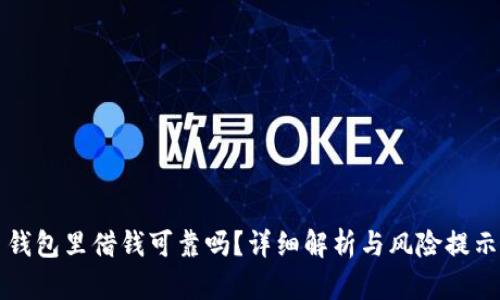 钱包里借钱可靠吗？详细解析与风险提示