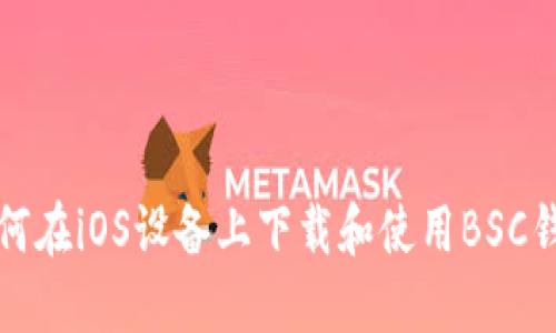 如何在iOS设备上下载和使用BSC钱包